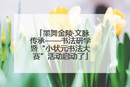 墨舞金陵·文脉传承——书法研学暨“小状元书法大赛”活动启动了