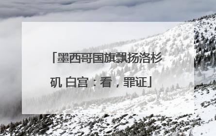 墨西哥国旗飘扬洛杉矶 白宫：看，罪证