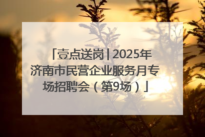 壹点送岗│2025年济南市民营企业服务月专场招聘会（第9场）