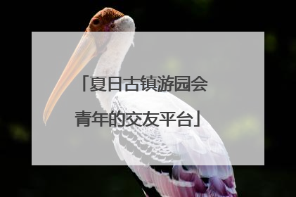 夏日古镇游园会 青年的交友平台