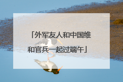外军友人和中国维和官兵一起过端午
