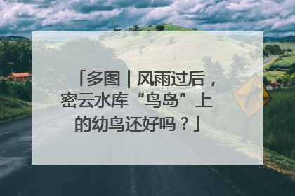 多图｜风雨过后，密云水库“鸟岛”上的幼鸟还好吗？