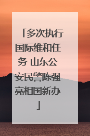 多次执行国际维和任务 山东公安民警陈强亮相国新办