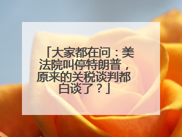 大家都在问：美法院叫停特朗普，原来的关税谈判都白谈了？
