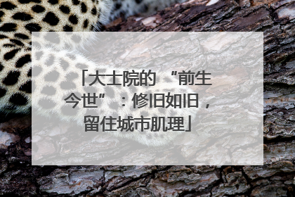 大士院的 “前生今世”：修旧如旧，留住城市肌理