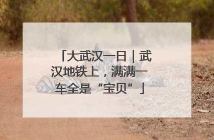 大武汉一日｜武汉地铁上，满满一车全是“宝贝”