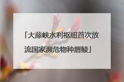 大藤峡水利枢纽首次放流国家濒危物种唇鲮