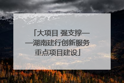 大项目 强支撑——湖南建行创新服务重点项目建设