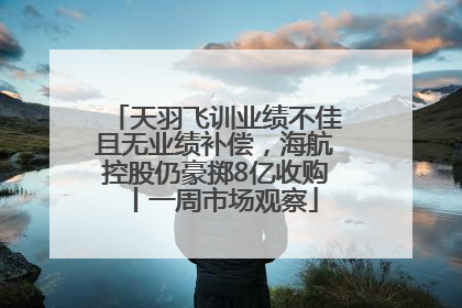 天羽飞训业绩不佳且无业绩补偿，海航控股仍豪掷8亿收购丨一周市场观察