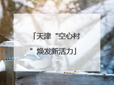 天津“空心村”焕发新活力