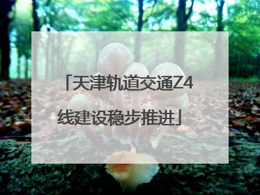 天津轨道交通Z4线建设稳步推进