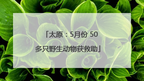 太原：5月份 50多只野生动物获救助