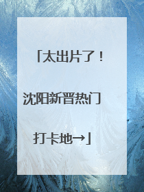 太出片了！沈阳新晋热门打卡地→