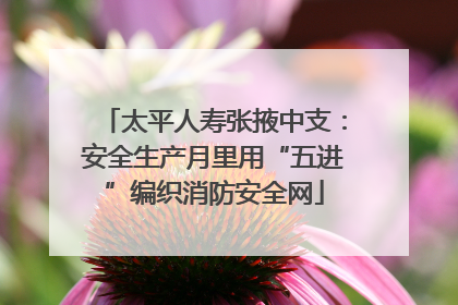 太平人寿张掖中支：安全生产月里用“五进”编织消防安全网