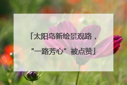 太阳岛新绘景观路，“一路芳心”被点赞