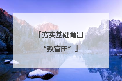 夯实基础育出“致富田”