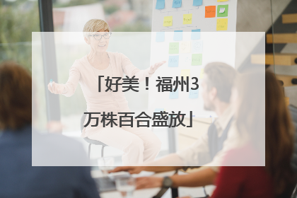 好美！福州3万株百合盛放