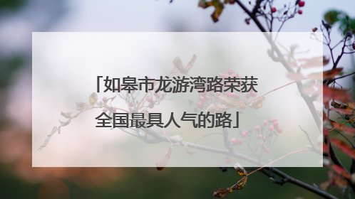如皋市龙游湾路荣获全国最具人气的路