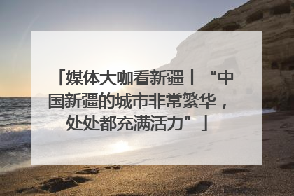 媒体大咖看新疆丨“中国新疆的城市非常繁华，处处都充满活力”