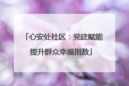 心安处社区：党建赋能 提升群众幸福指数