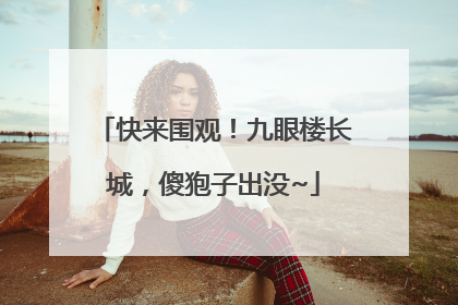 快来围观！九眼楼长城，傻狍子出没~