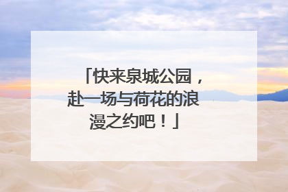 快来泉城公园，赴一场与荷花的浪漫之约吧！