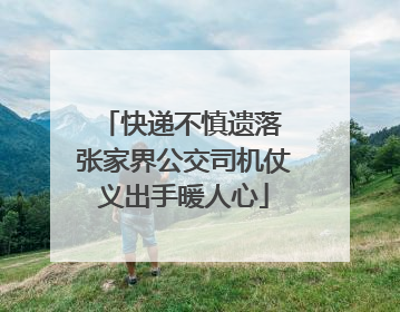 快递不慎遗落 张家界公交司机仗义出手暖人心