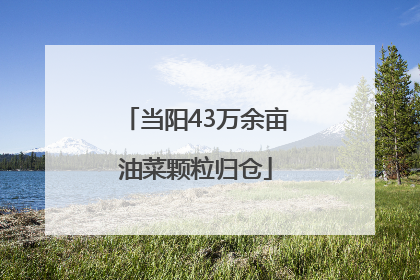 当阳43万余亩油菜颗粒归仓