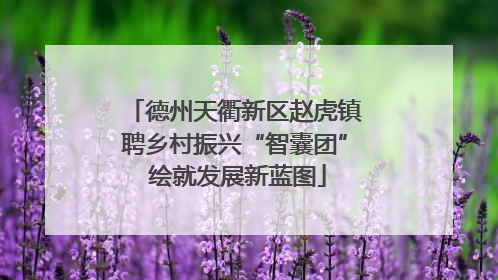 德州天衢新区赵虎镇聘乡村振兴“智囊团” 绘就发展新蓝图