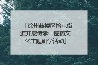 徐州鼓楼区拾屯街道开展传承中医药文化主题研学活动