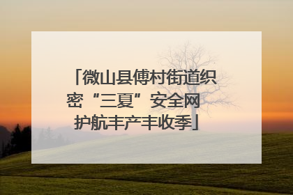 微山县傅村街道织密“三夏”安全网 护航丰产丰收季