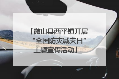 微山县西平镇开展“全国防灾减灾日”主题宣传活动
