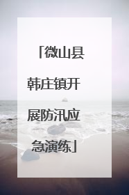 微山县韩庄镇开展防汛应急演练