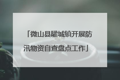 微山县驩城镇开展防汛物资自查盘点工作