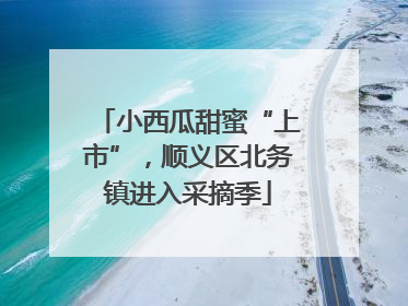 小西瓜甜蜜“上市”，顺义区北务镇进入采摘季