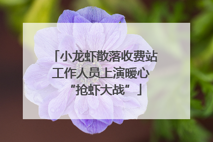小龙虾散落收费站 工作人员上演暖心“抢虾大战”