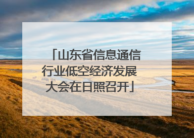 山东省信息通信行业低空经济发展大会在日照召开