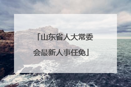 山东省人大常委会最新人事任免