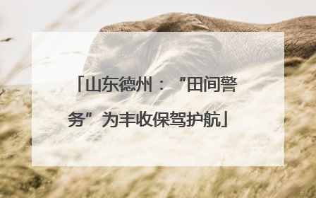 山东德州：“田间警务”为丰收保驾护航