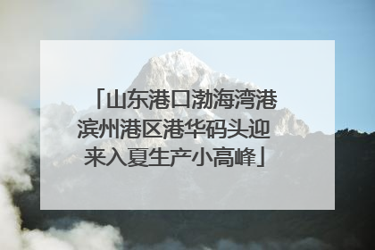 山东港口渤海湾港滨州港区港华码头迎来入夏生产小高峰