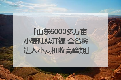 山东6000多万亩小麦陆续开镰 全省将进入小麦机收高峰期