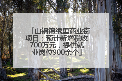 山钢锦绣里商业街项目：预计新增税收700万元，提供就业岗位900余个