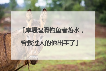 岸堤湿滑钓鱼者落水，曾救过人的他出手了