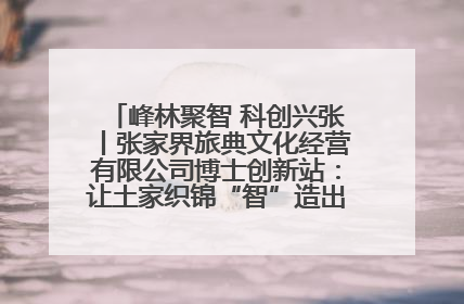 峰林聚智 科创兴张丨张家界旅典文化经营有限公司博士创新站：让土家织锦“智”造出非遗新传奇