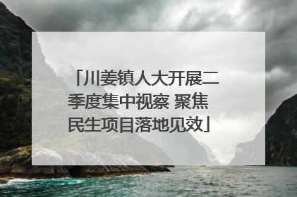 川姜镇人大开展二季度集中视察 聚焦民生项目落地见效