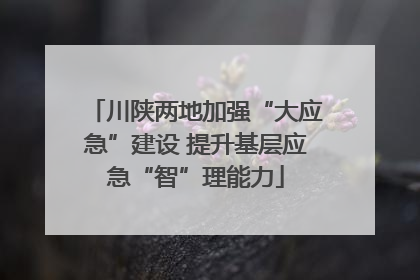 川陕两地加强“大应急”建设 提升基层应急“智”理能力