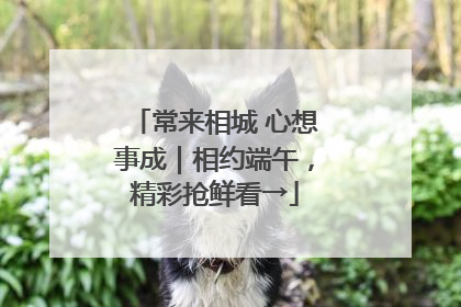 常来相城 心想事成｜相约端午，精彩抢鲜看→