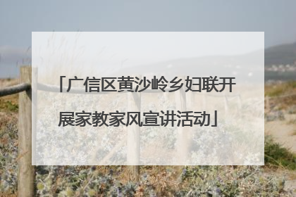 广信区黄沙岭乡妇联开展家教家风宣讲活动