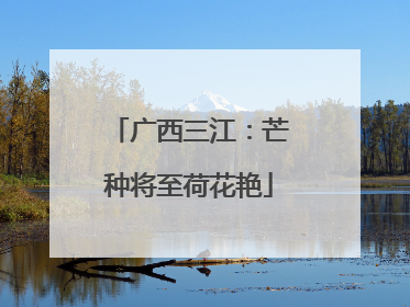 广西三江：芒种将至荷花艳
