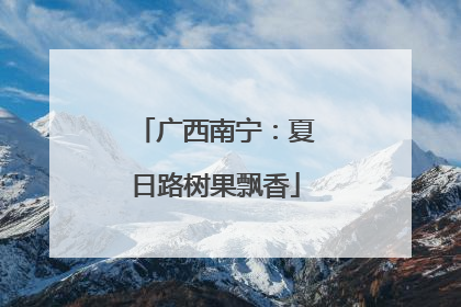 广西南宁：夏日路树果飘香